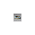 Donaldson P607290 Air Filter