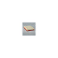 Donaldson P607348 Air Filter