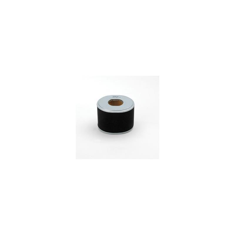 Donaldson P607273 Air Filter