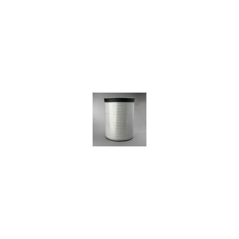 Donaldson P182038 Air Filter