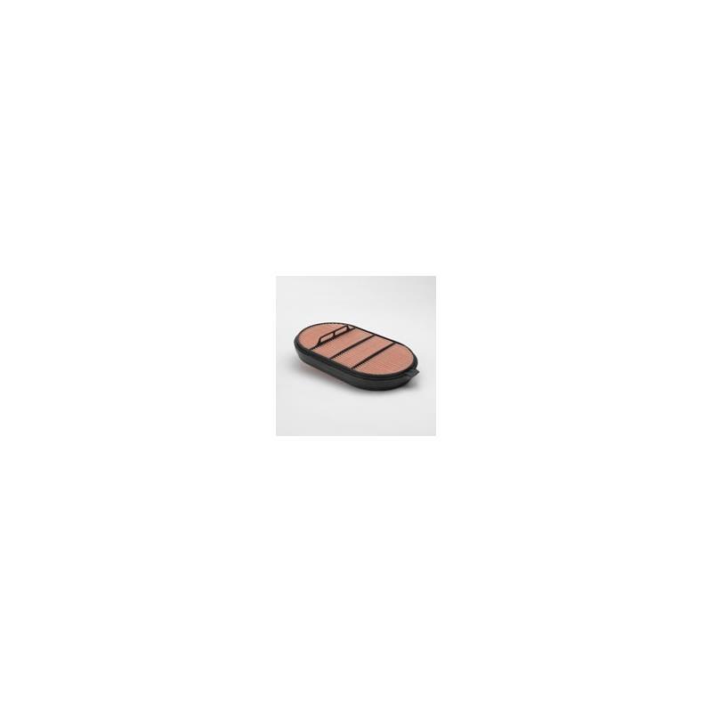 Donaldson P601560 Air Filter