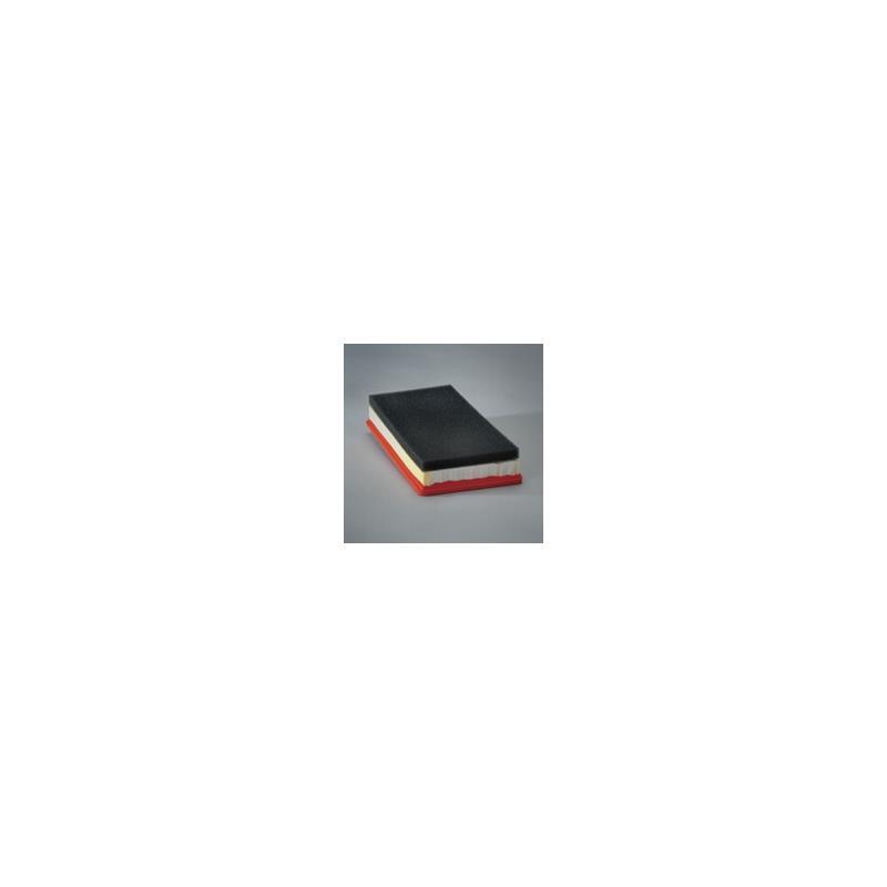 Donaldson P607097 Air Filter