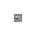 Donaldson P552399 Fuel Filter
