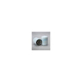 Donaldson P559125 Fuel Filter
