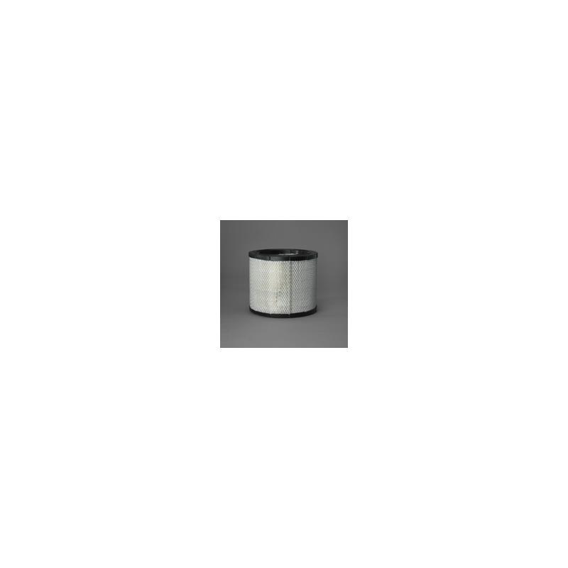Donaldson P546755 Air Filter