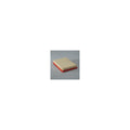 Donaldson P607323 Air Filter