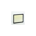 Donaldson P548963 Panel Air Filter
