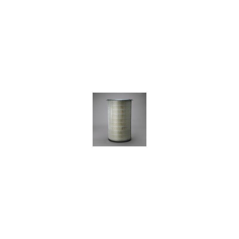 Donaldson P607263 Air Filter