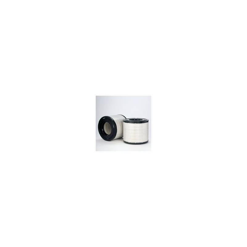 Donaldson P603755 Air Filter