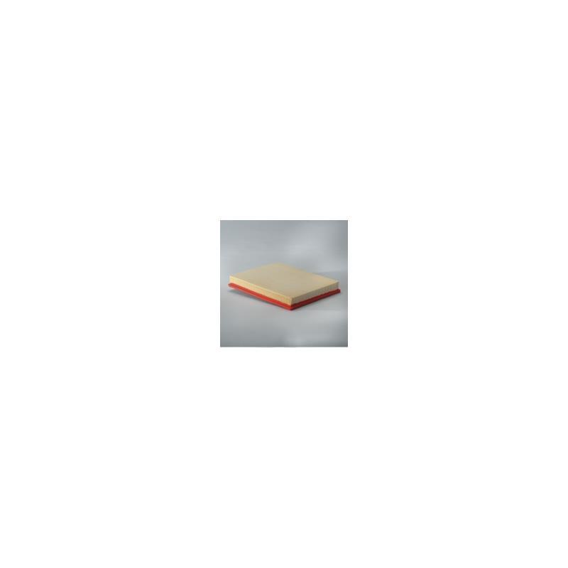 Donaldson P606062 Air Filter
