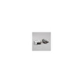 Donaldson P552439 Fuel Filter