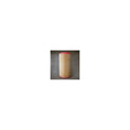 Donaldson P782106 Air Filter