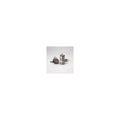 Donaldson P552403 Fuel Filter