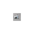 Donaldson P551329 Fuel Filter