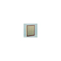 Donaldson P602657 Air Filter Panel