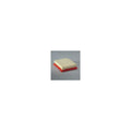 Donaldson P606219 Air Filter