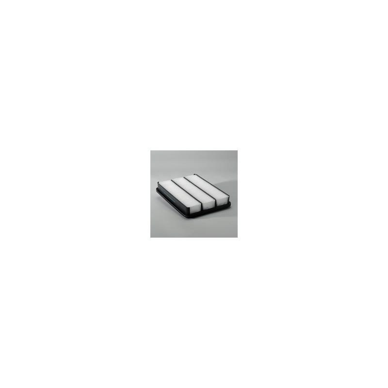 Donaldson P607257 Air Filter